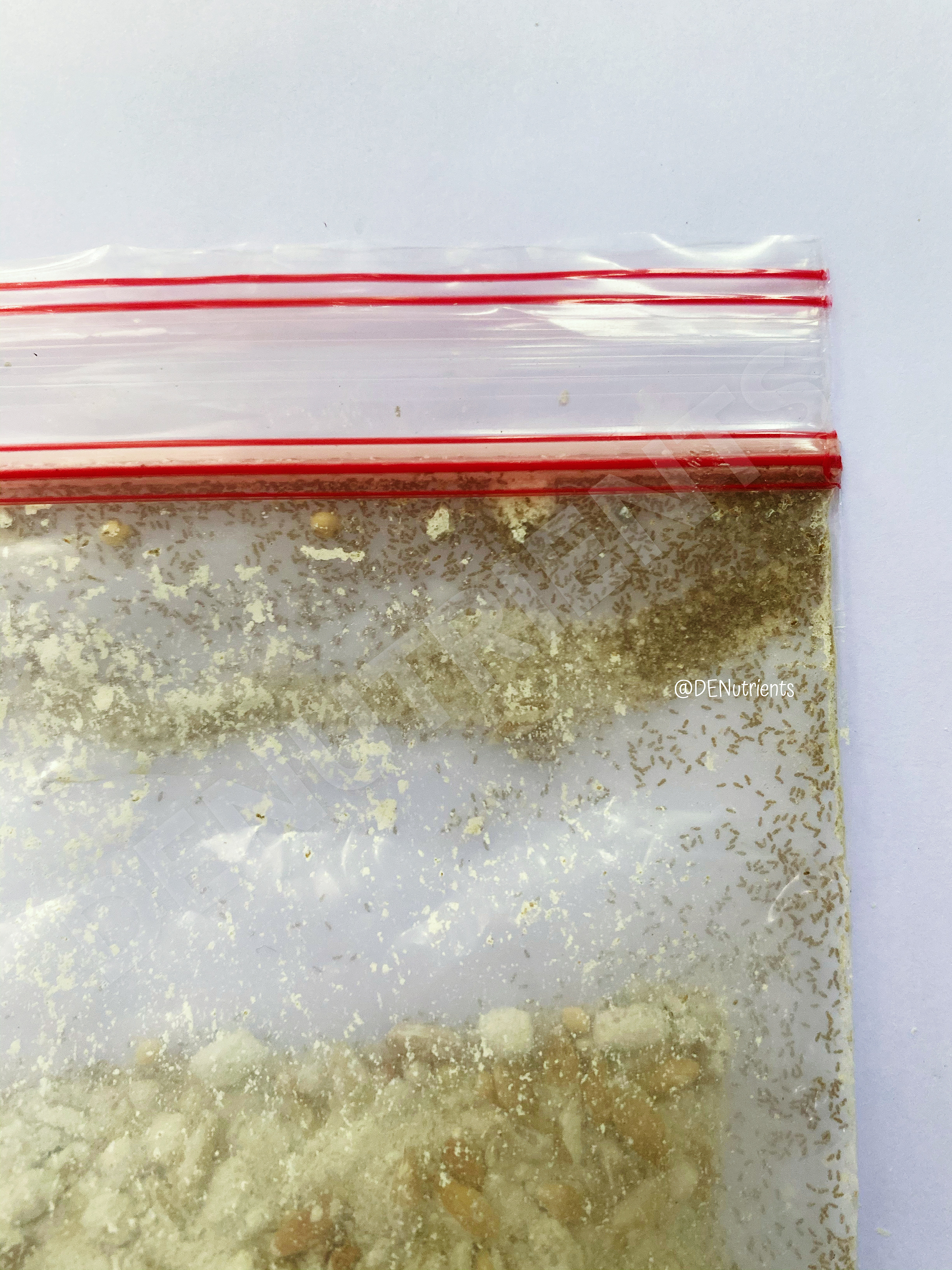 Grain Mites and Weevils in your pets’ feed ?? DENutrients